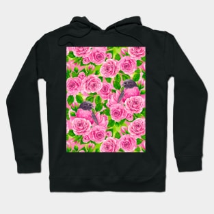 Pink Robin and roses Hoodie